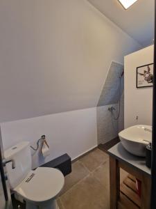 een badkamer met toilet en wastafel bij Hidden Chalet in Tarcău-Gheuca