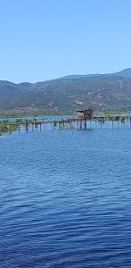 Fotografie z fotogalerie ubytování White Sky v destinaci Star Dojran