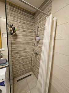 Ένα μπάνιο στο Luxurios Apartment Sarajevo