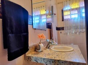 a bathroom with a sink and a vase with a flower at Casa No Rio Garagem Wi-Fi Próximo Praia Barra in Rio de Janeiro +33 photos