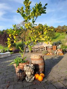 Сад в Loftartige Wohnung in Scheibbs mit Schwimmteich