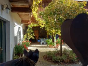 Сад в Loftartige Wohnung in Scheibbs mit Schwimmteich