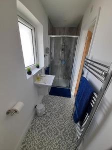 ein Badezimmer mit Dusche, Toilette und Waschbecken in der Unterkunft Rose Cottage Bushmills in Bushmills + 25 Fotos