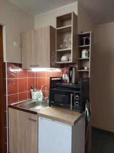 Kuchyň nebo kuchyňský kout v ubytování Pokoje gościnne Centrum Brzozowa 14