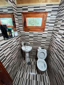 a small bathroom with a toilet and a sink at Vikendica Davidović in Berane +22 photos