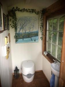 a bathroom with a toilet and a sink at Badehuset, Harmoni, med privat strand in Hemnes