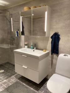 Koupelna v ubytování Guesthouse