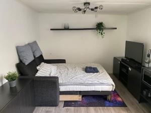 TV a/nebo společenská místnost v ubytování Guesthouse