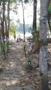 a beach with a bunch of trees on it at Pé na Roça chácara - um fim de semana tranquilo na roça in Tremembé