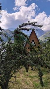 Příroda nedaleko apartmánu