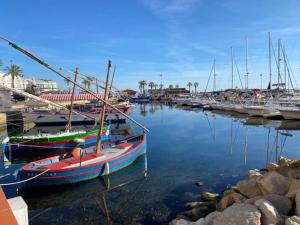 Φυσικό τοπίο κοντά σε αυτό το διαμέρισμα +6 φωτογραφίες