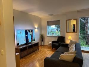 TV a/nebo společenská místnost v ubytování Húsavík Apartment