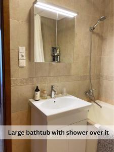 a bathroom with a sink and a mirror and a shower at Spacious Old Town Apartment, 3 Rooms, Free Parking, Sleeps up to 7 in Kaunas +32 photos