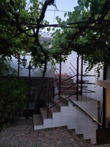 Fotografie z fotogalerie ubytování Bozovic Apartments I v destinaci Budva