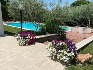 a garden with two flowers and a swimming pool at Visit Rome from a quiet place Frascati in Frascati