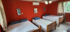 two beds in a room with red walls at Bohemian Lodge - Artist's Boutique in Kingston +25 photos