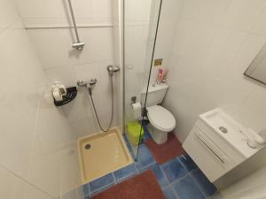 Apartment in the Center of Nice