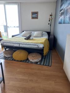een slaapkamer met twee bedden op een kleed bij Nant'Sud Loire in Nantes +20 foto's