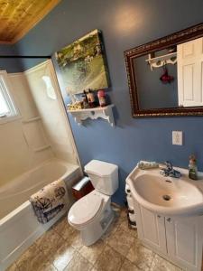 a bathroom with a toilet and a sink and a mirror at Sea Captains Cabin in Lamaline
