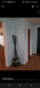 Foto dalla galleria di River cottage a New Port Richey