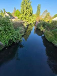 an aerial view of a river with trees and bushes at Spa Privatif en Pleine Nature à 1h de Paris in Saclas +5 photos