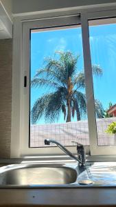a kitchen sink with a palm tree outside a window at Apartamento Leyda en Marbella in Marbella