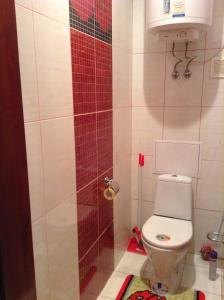 a bathroom with a toilet and a red tile wall at Apartment 2 rooms Lux near Inturist Prospect Soborniy in Zaporozhye