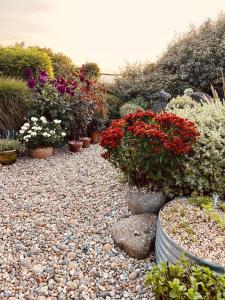 a garden with potted plants and flowers on a rocky ground at Pluto House in Kent