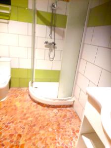 a bathroom with a shower and a sink and a toilet at Kreyolita in Saint-Laurent du Maroni