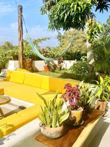 Un sofá amarillo con plantas en macetas sobre una mesa. en Angels' Haven, en La Manzanilla