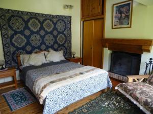 a bedroom with a bed and a fireplace at Casa Malen Llao Llao in San Carlos de Bariloche +7 photos