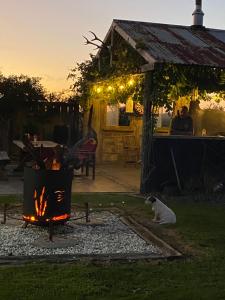 a cat sitting next to a fire pit in a yard at Country Charm with Mountain views in Pukeatua
