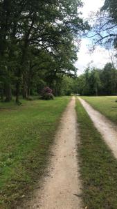 a dirt road in the middle of a field at Gîte La Baronnière in Vouzon