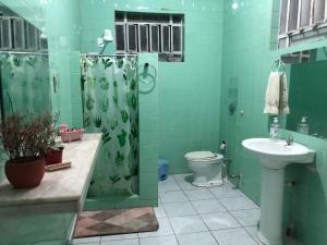 a green bathroom with a toilet and a sink at Casarão historico in Recife +48 photos