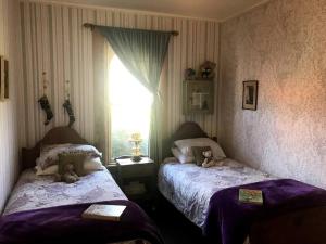 ein Schlafzimmer mit zwei Betten mit Teddybären drauf in der Unterkunft Oakura Pond Cottage - A unique kiwi holiday Bach in Oakura + 14 Fotos