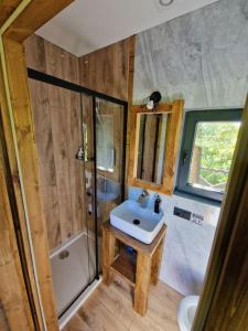 a small bathroom with a sink and a shower at Domek w drzewach Ostoja in Krzesimów