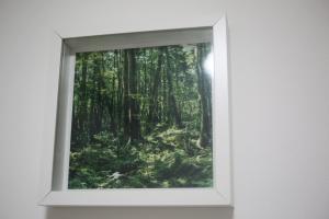 Fotografie z fotogalerie ubytování HANANOSATO tabada 花乃郷民泊 v Tokiu