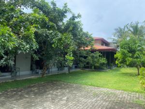 Zahrada ubytování Negombo 146 Homestay