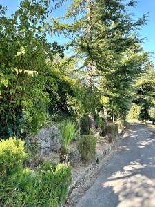 una strada con alberi e piante sul lato di una strada di Rosemarin Green a Capodistria