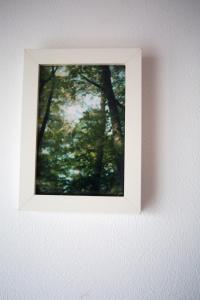 Fotografie z fotogalerie ubytování HANANOSATO tabada 花乃郷民泊 v Tokiu