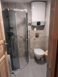 ein Badezimmer mit Dusche und Toilette in der Unterkunft Domki Harenda in Zakopane