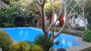Bazén v ubytování Pondok IJo Guesthouse nebo v jeho okolí