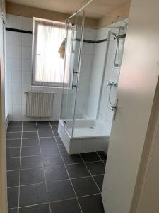 a bathroom with a shower and a toilet and a window at HD Rooms in Bremen