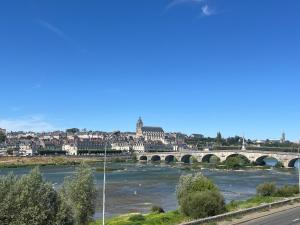 a bridge over a river with a city at Quai de la Loire in Blois