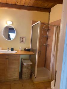 a bathroom with a shower and a sink at Gentilini Retreat in Argostoli