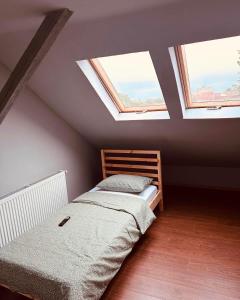 ティミショアラにあるSerbian Houseのベッドルーム(ベッド2台、天窓2台付)