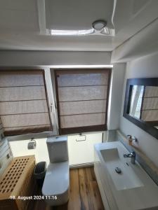 ein kleines Bad mit einem Waschbecken und zwei Fenstern in der Unterkunft Handwerkerwohnung-Monteurunterkunft in Darmstadt + 37 Fotos
