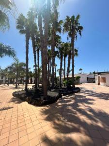 Φωτογραφία από το άλμπουμ του Apartamentos GALA σε Corralejo