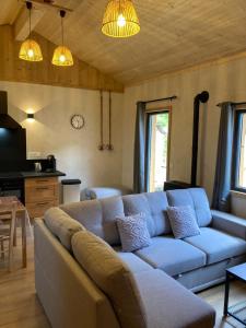 Χώρος καθιστικού στο Chalet MELBA Le Clos des Ours