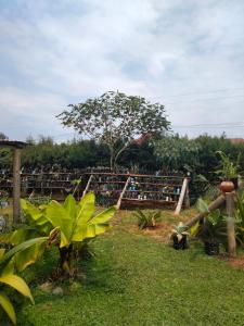 Fotografie z fotogalerie ubytování Gaia Eco Hub BnB v destinaci Fort Portal